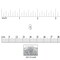 JewelrySupply Replacement Earring Backs Extra Heavy 9.5mm Sterling Silver (1 Pair of Sterling Silver Earring Backs)
